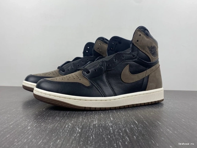 High  Retro 1   Palomino DZ5485-020 OG Jordan 0213